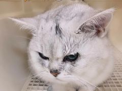 -美联众合动物医院·24h京西诊疗中心