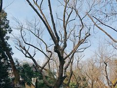 -颐和路民国时期公馆风貌区