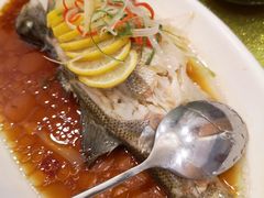 -后宫私房菜(汇客美食娱乐广场店)