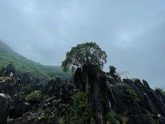 -玉石林风景区