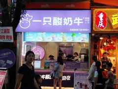 -一只酸奶牛(八一路店)