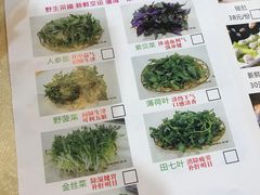 -一煲鸽