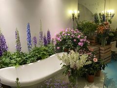 -Blue Concept Cafe&Farm·關於藍