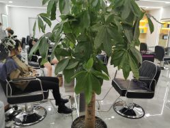 -Coo Hair salon