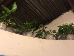 -苟味道老火锅(黄桷坪店)