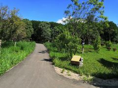 -白鹭湾湿地公园