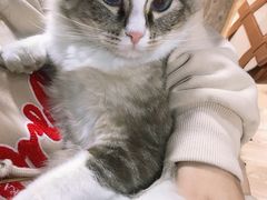 -白兔子密室(长寿路店)