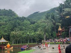 -西双版纳原始森林公园