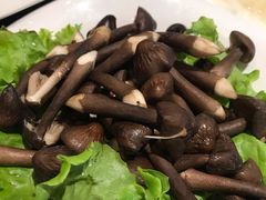 -东椰·海南椰子鸡火锅(朝阳门店)