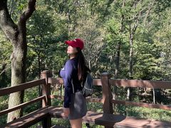 -沂蒙山旅游区云蒙景区(蒙山国家森林公园)