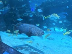 -海合安成都极地海洋公园