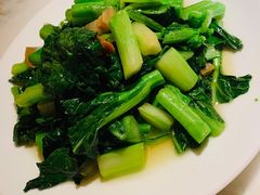 芥兰苗-佬肥猫(国华广场店)