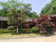 -金银湖国家城市湿地公园