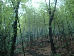 景点-穹窿山景区