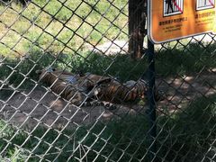 -大连森林动物园