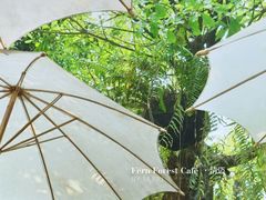 -Fern Forest Cafe