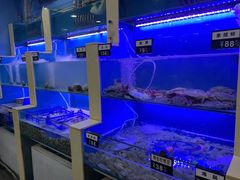 水产区-老虎滩大连海鲜烧烤(建邺云锦路总店)