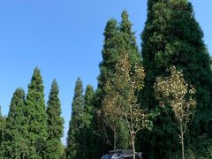 -山王坪喀斯特国家生态公园