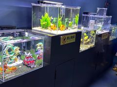 -重庆欢乐海底世界
