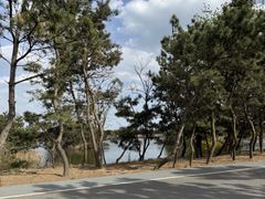 -山东八大碗山东老字号