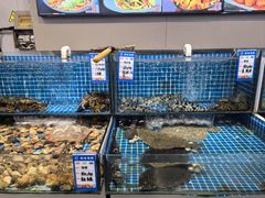 -黑石礁酒楼·海鲜(黑石礁店)
