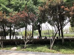 -后襄河公园