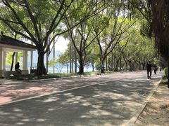-南宁南湖公园
