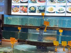 -怀德酒楼·粤菜·海鲜·茶点(宝安国际机场店)