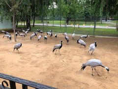 -秦皇岛野生动物园