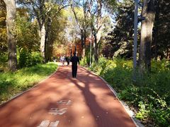 -长春市南湖公园