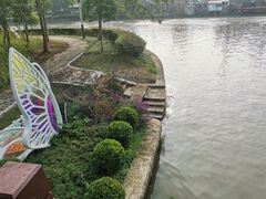 -陈家山荷花公园