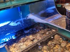 水产区-喜庭海鲜自助(来福士店)