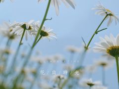 -映月湖中央公园
