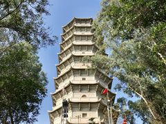 -深圳国际园林花卉博览园