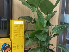 -上海仁爱医院口腔科 · 种植