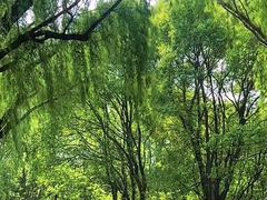 -同里国家湿地公园
