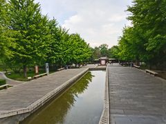 -晋祠公园