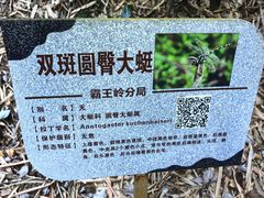 -霸王岭国家森林公园