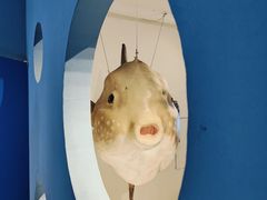 -重庆欢乐海底世界