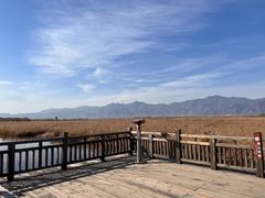 -野鸭湖国家湿地公园