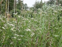 -南京金牛湖风景区