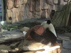 -泉州海丝野生动物世界