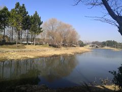 -尚贤河湿地