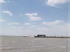 -红碱淖景区