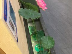 -九田家黑牛烤肉料理(衡百国际店)