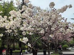 -木塔寺遗址生态公园