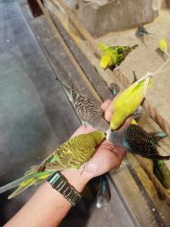 -酷嗒动物文化乐园(cutezoo西溪乐天城店)