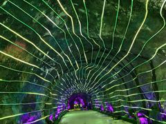 -栾川竹海野生动物园