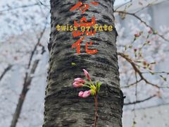 -龙美术馆(西岸馆)