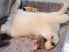 -GAGA主题量贩式KTV平价店(工大店)